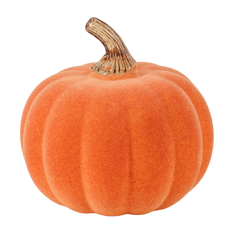 Velvet/Pumpkin Maisiúil Flocked le Gas Gloine