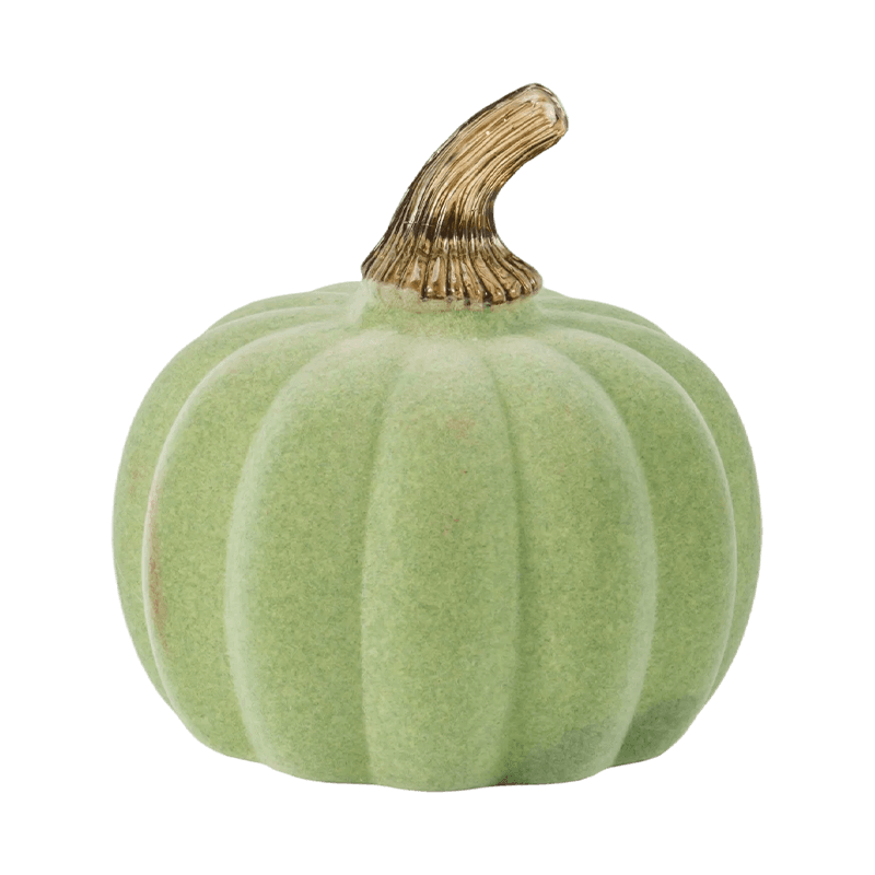 Velvet/Pumpkin Maisiúil Flocked le Gas Gloine