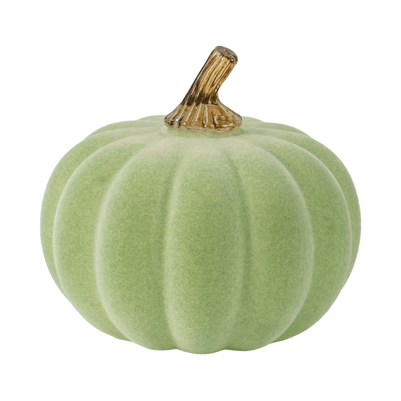 Velvet/Pumpkin Maisiúil Flocked le Gas Gloine