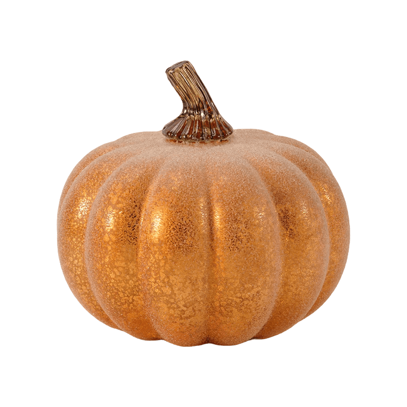 Velvet/Pumpkin Maisiúil Flocked le Gas Gloine