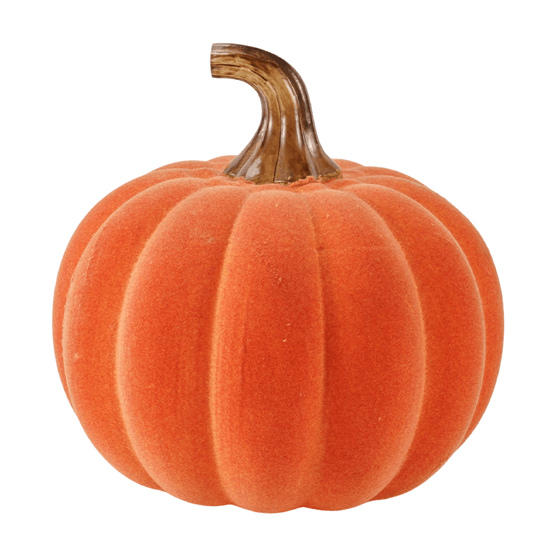 Velvet/Pumpkin Maisiúil Flocked le Gas Gloine