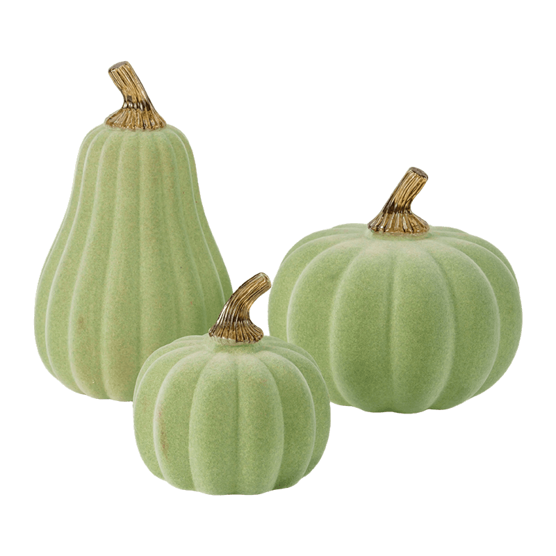 Veilbhit ilmhéide/Pumpkin Maisiúla Tite le Gas Gloine