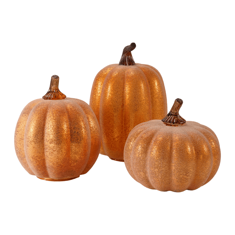 Veilbhit ilmhéide/Pumpkin Maisiúla Tite le Gas Gloine